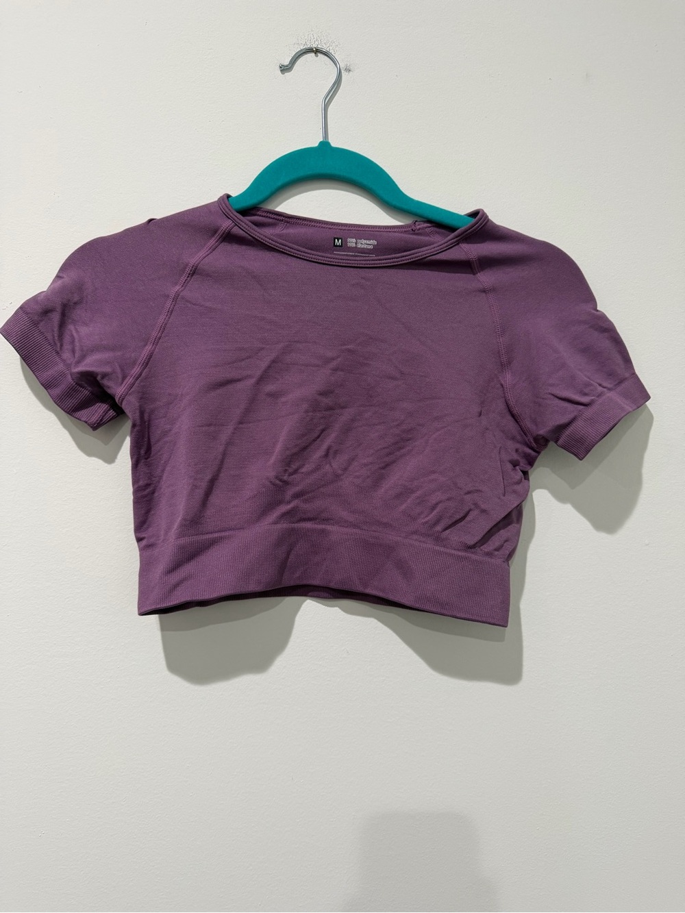 Cropped Purple Short Sleeve Top